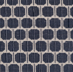 Gobi Navy