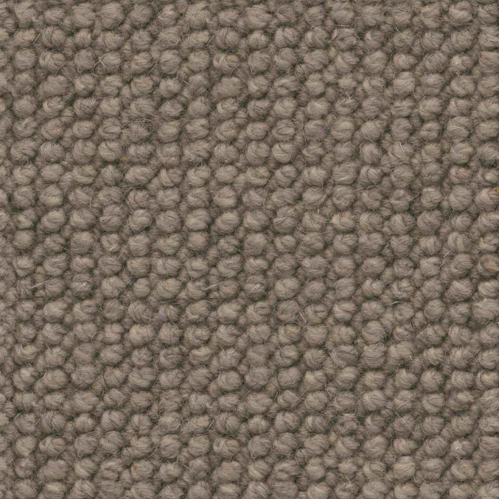 Amber - Image 2